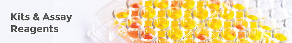 Kits & Assay Reagents
